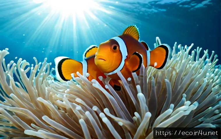 공생과 기생 - Photorealistic macro scene of a clownfish swimming safely among pale sea anemone tentacles, both org...